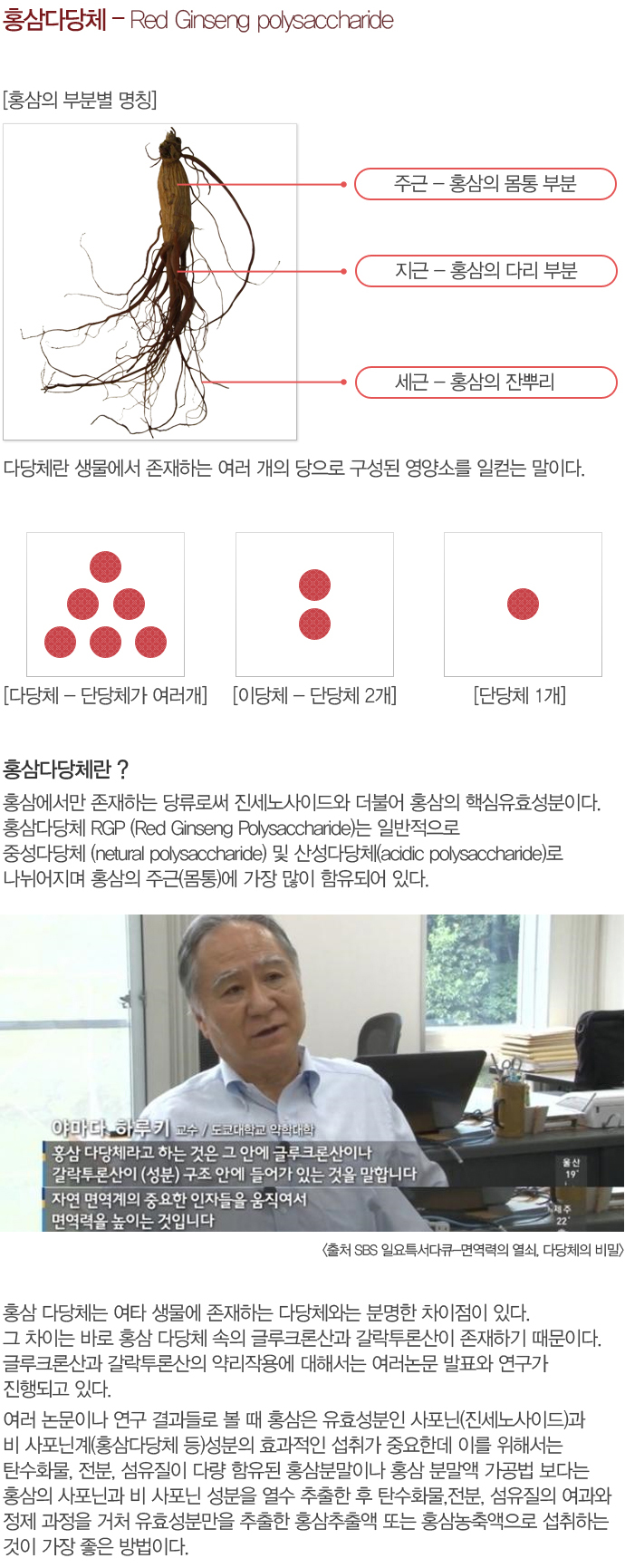 홍삼다당체